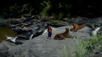 诺丫与彩奏,探寻友谊与梦想的奇妙旅程