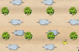 小雪花生存挑战,逆境成长记