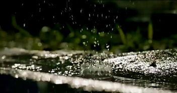 一眼秋水不见深,探寻无垠深境